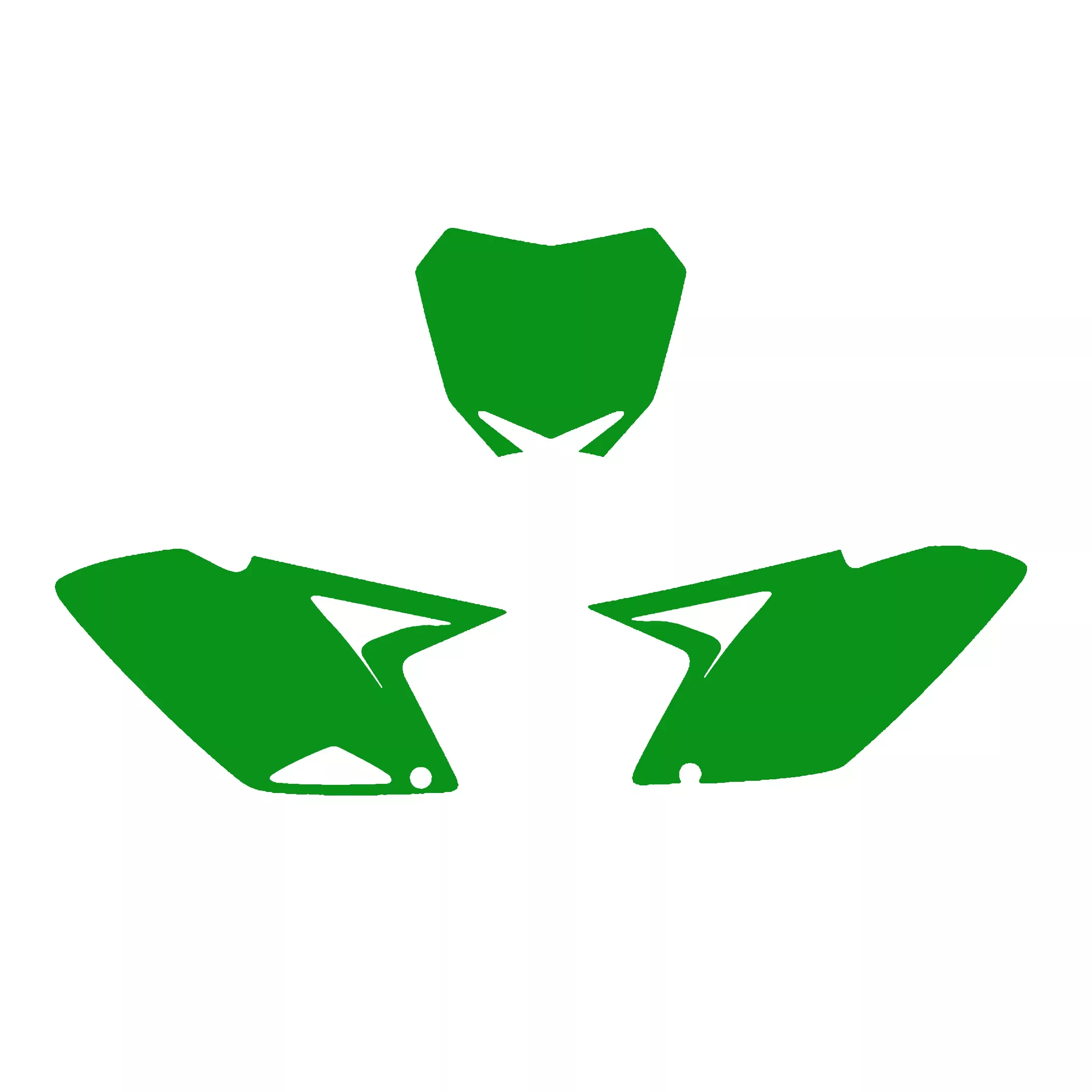 10-18 RMZ250 BACKGROUND GREEN, BLACKBIRD 3318/30