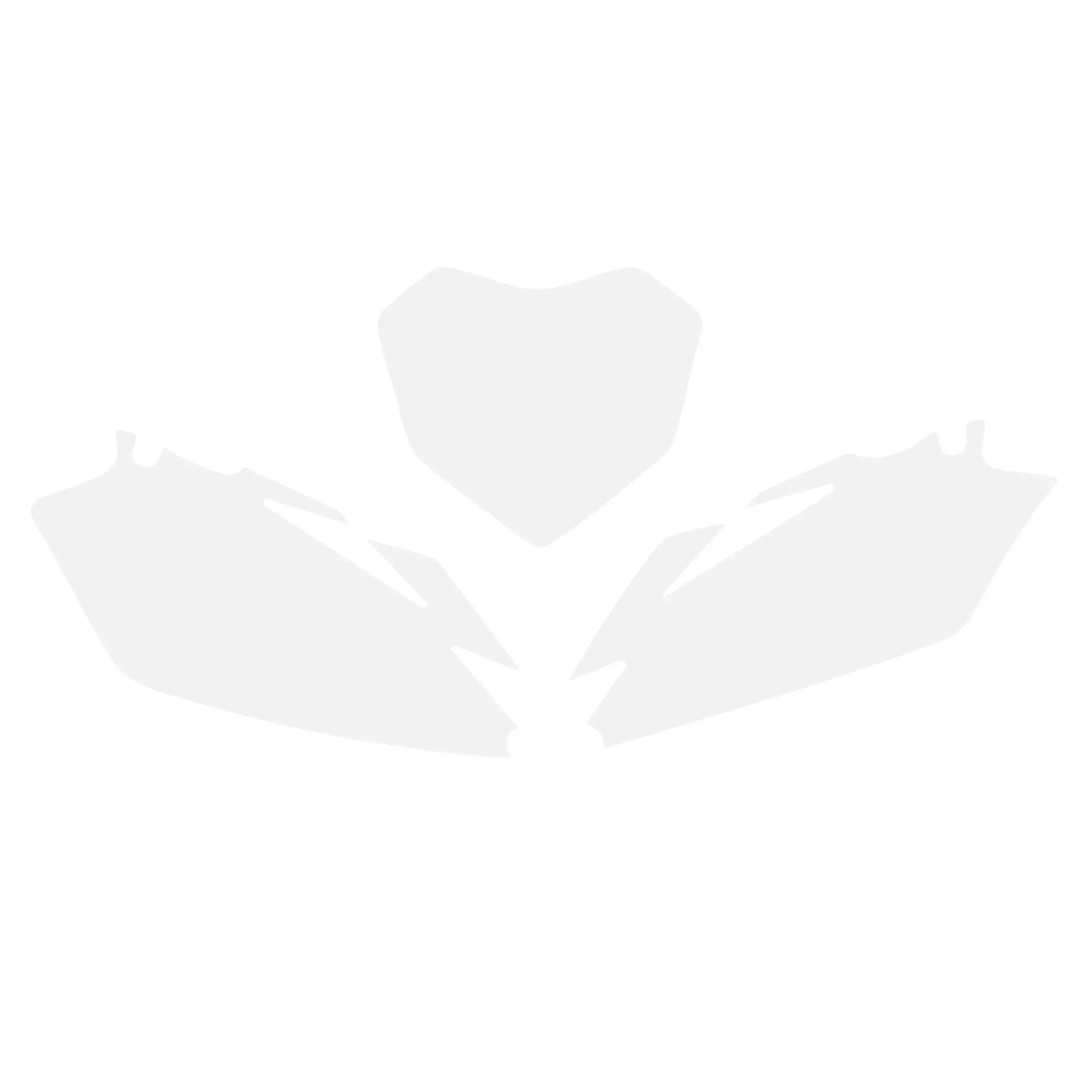 13-16 CRF450 BACKGROUNDS WHITE, BLACKBIRD 3138/10, 3138 000001