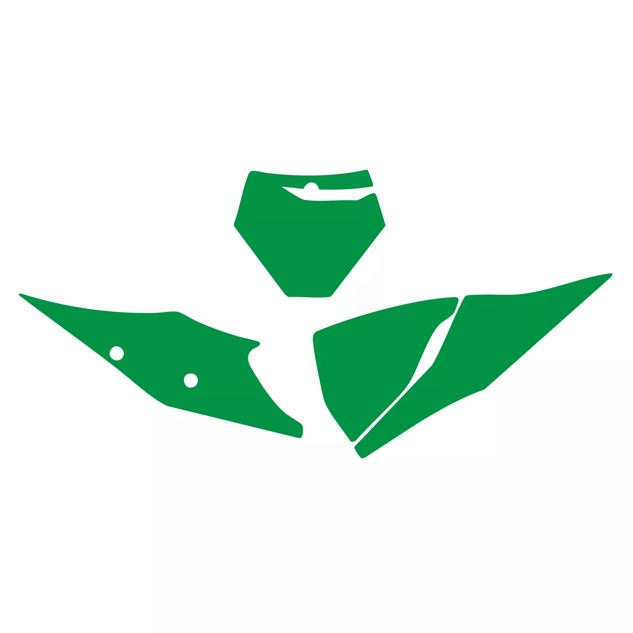 20-23 TE/FE HUSQVARNA, GREEN BACKGROUNDS, BLACKBIRD 3627/30