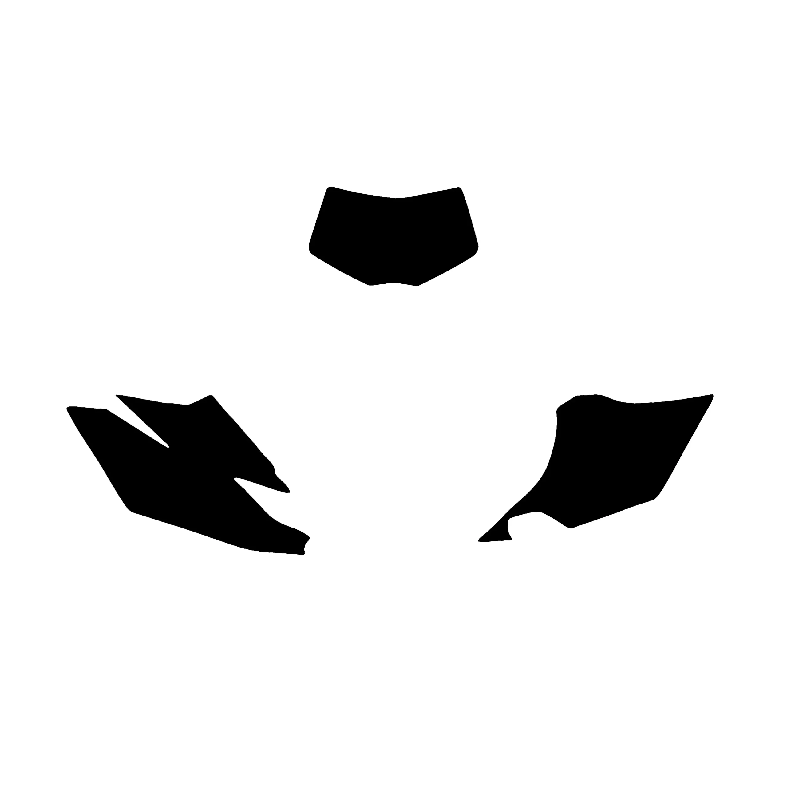 2012-15 WRF450 BACKGROUNDS, BLACKBIRD 3221 /20