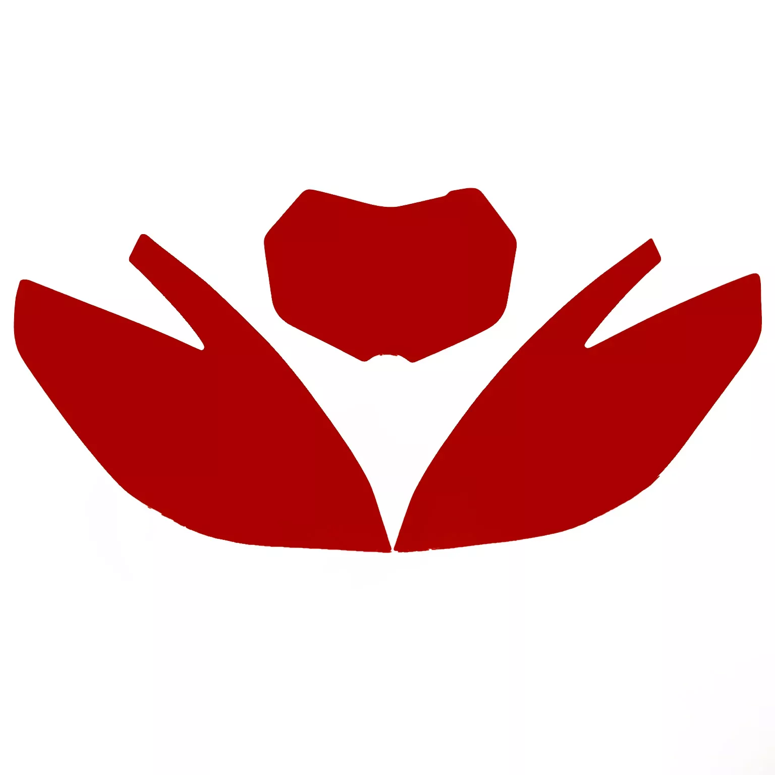 2020-2021 TM EN 2-ST BACKGROUNDS, RED BLACKBIRD 3817/60