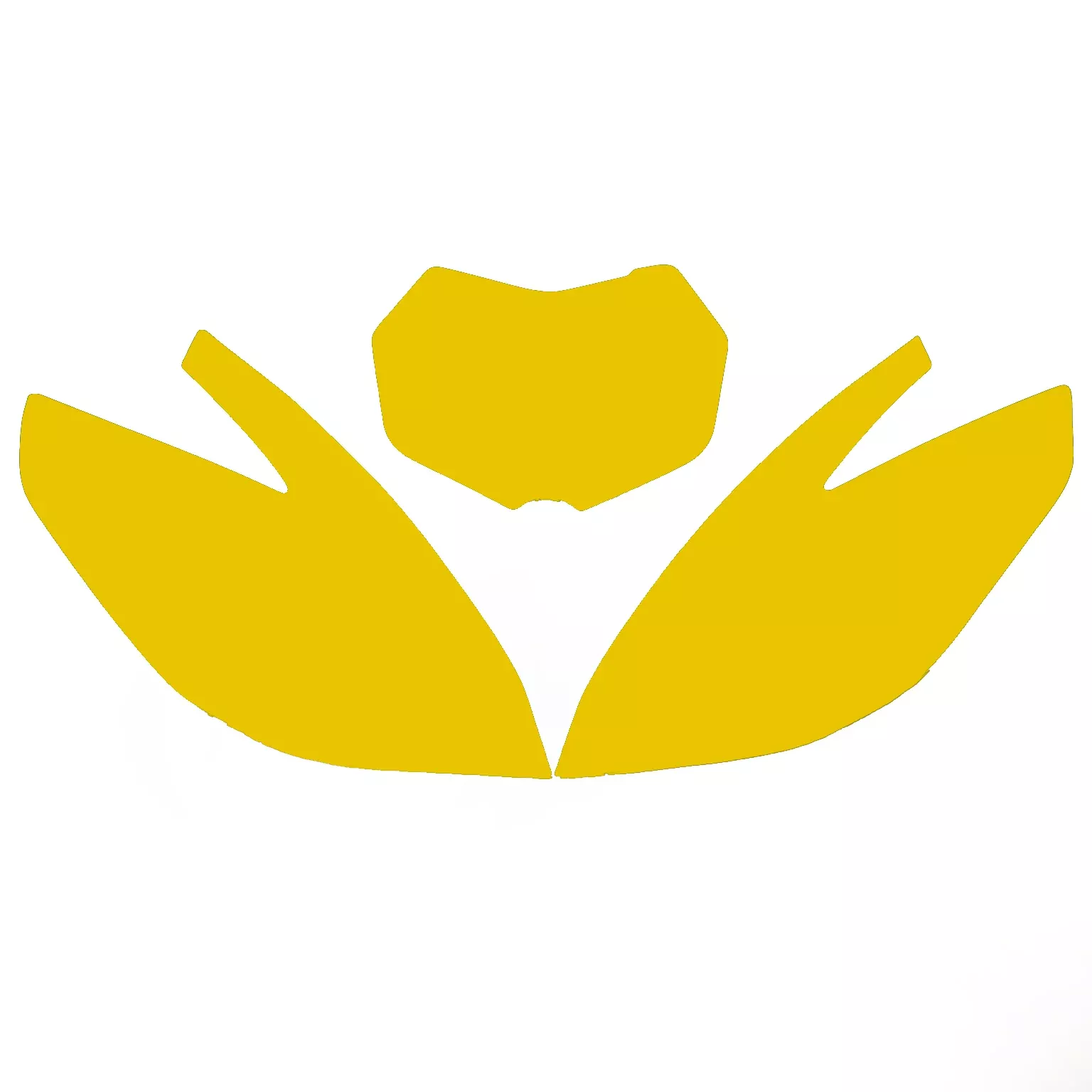 2020-2021 TM EN 2-ST BACKGROUNDS, YELLOW BLACKBIRD 3817/40