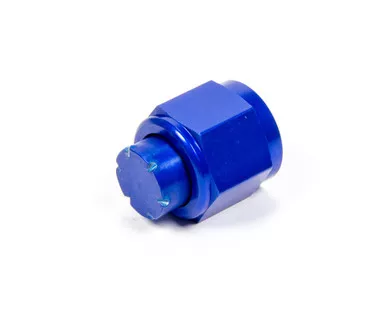 Aeroquip #10 An Cap Aluminum FCM3742