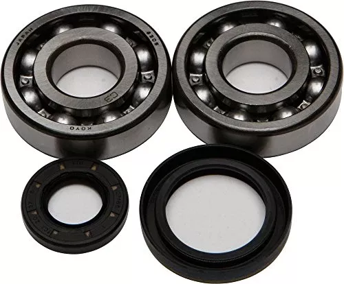 All Balls Crank Bearing and Seal Kit 24-1019