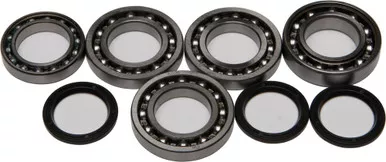 All Balls Front Differential Bearing And Seal Kit - 25-2077