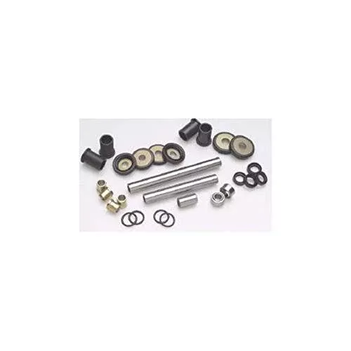 All Balls Racing 50-1169 Rear Ind. Suspension Kit