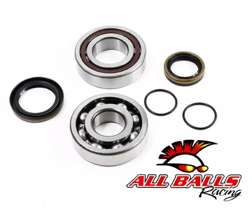 All Balls Racing Crankshaft Bearing Kit