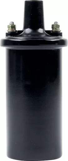 Allstar Performance Canister Style Ignition Coil ALL81234