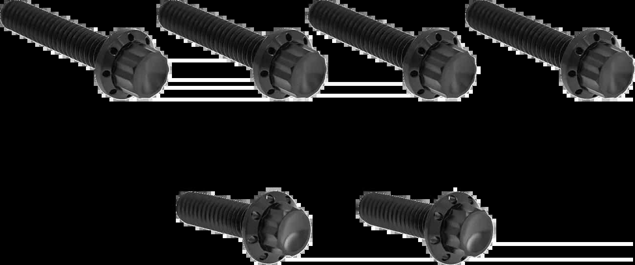 ARLEN NESS Bolt Kit - Cable Clutch - Titanium - 12-Point - M8/Twin Cam - Black - 300-704