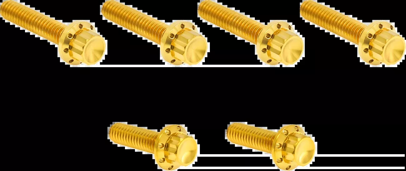 ARLEN NESS Bolt Kit - Cable Clutch - Titanium - 12-Point - M8/Twin Cam - Gold - 300-705