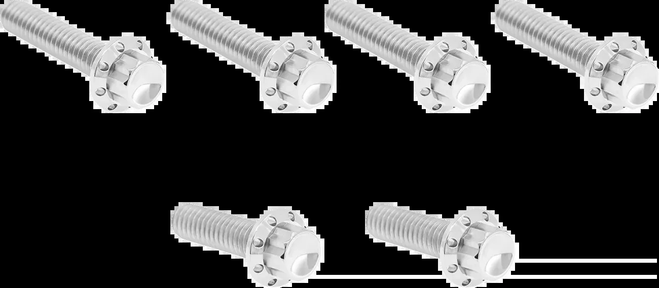 ARLEN NESS Bolt Kit - Cable Clutch - Titanium - 12-Point - M8/Twin Cam - Polished - 300-703