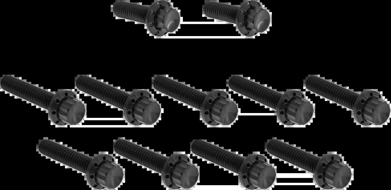 ARLEN NESS Bolt Kit - Cam Cover/Point Cover - Titanium - 12-Point - Black - 300-981