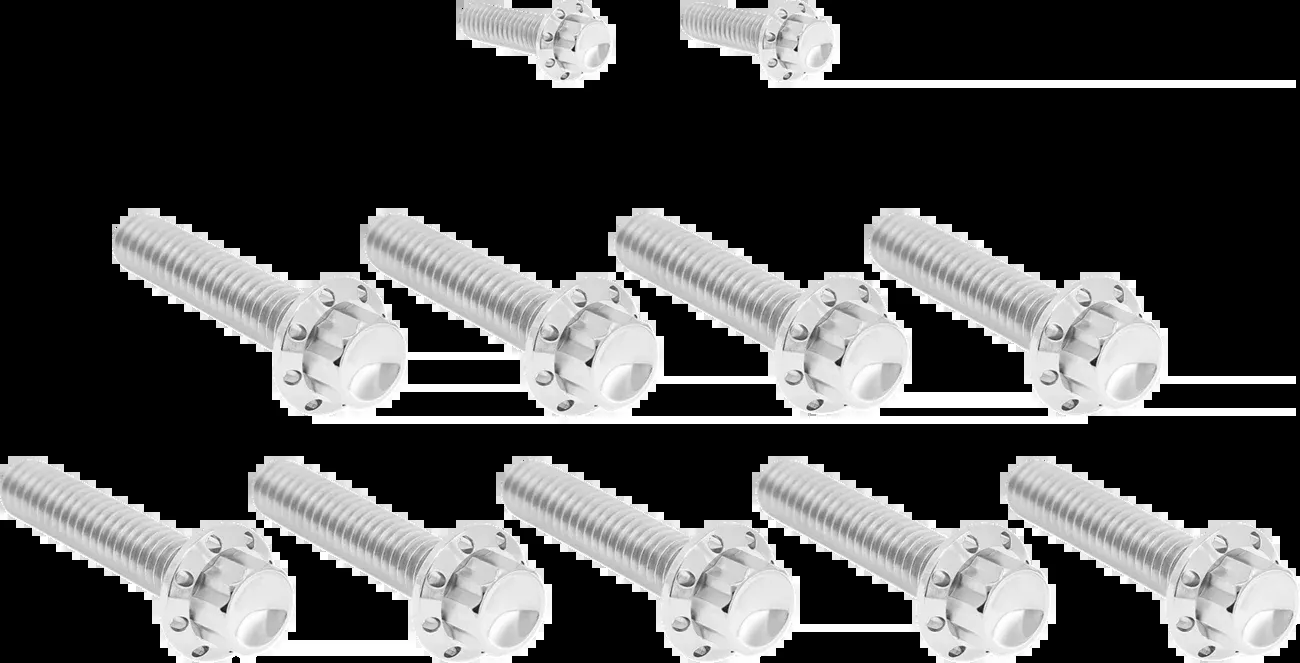 ARLEN NESS Bolt Kit - Cam Cover/Point Cover - Titanium - 12-Point - Polished - 300-932