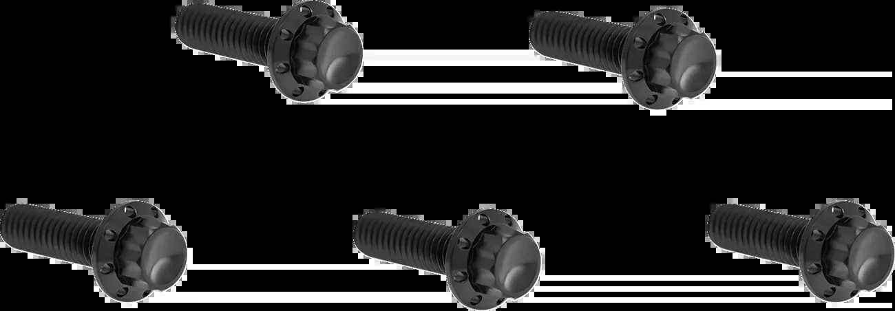 ARLEN NESS Bolt Kit - Derby Cover - 12-Point - Titanium - Black - 300-939