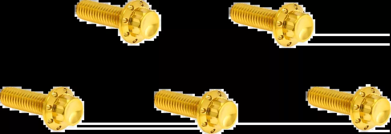 ARLEN NESS Bolt Kit - Derby Cover - 12-Point - Titanium - Gold - 300-940