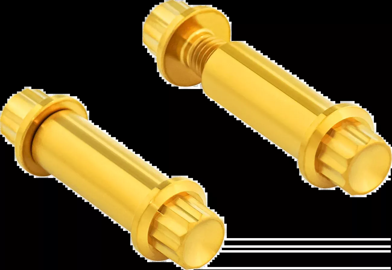 ARLEN NESS Bolt Kit - Footpeg - 12-Point - Titanium - Gold - 300-802