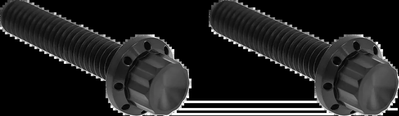 ARLEN NESS Bolt Kit - Hydraulic Clutch - Titanium - 12-Point - M8/Twin Cam - Black - 300-707