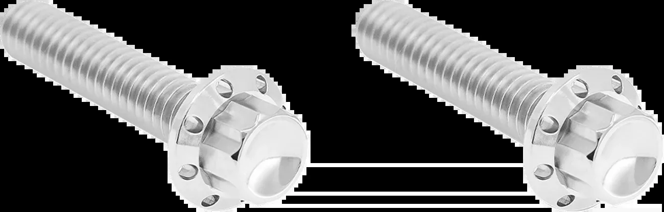 ARLEN NESS Bolt Kit - Hydraulic Clutch - Titanium - 12-Point - M8/Twin Cam - Polished - 300-706