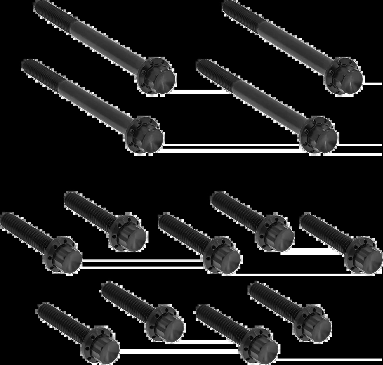 ARLEN NESS Bolt Kit - Primary Cover - Titanium - 12-Point - FLT - Black - 300-927