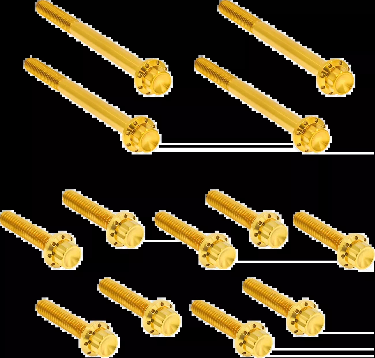 ARLEN NESS Bolt Kit - Primary Cover - Titanium - 12-Point - FLT - Gold - 300-928