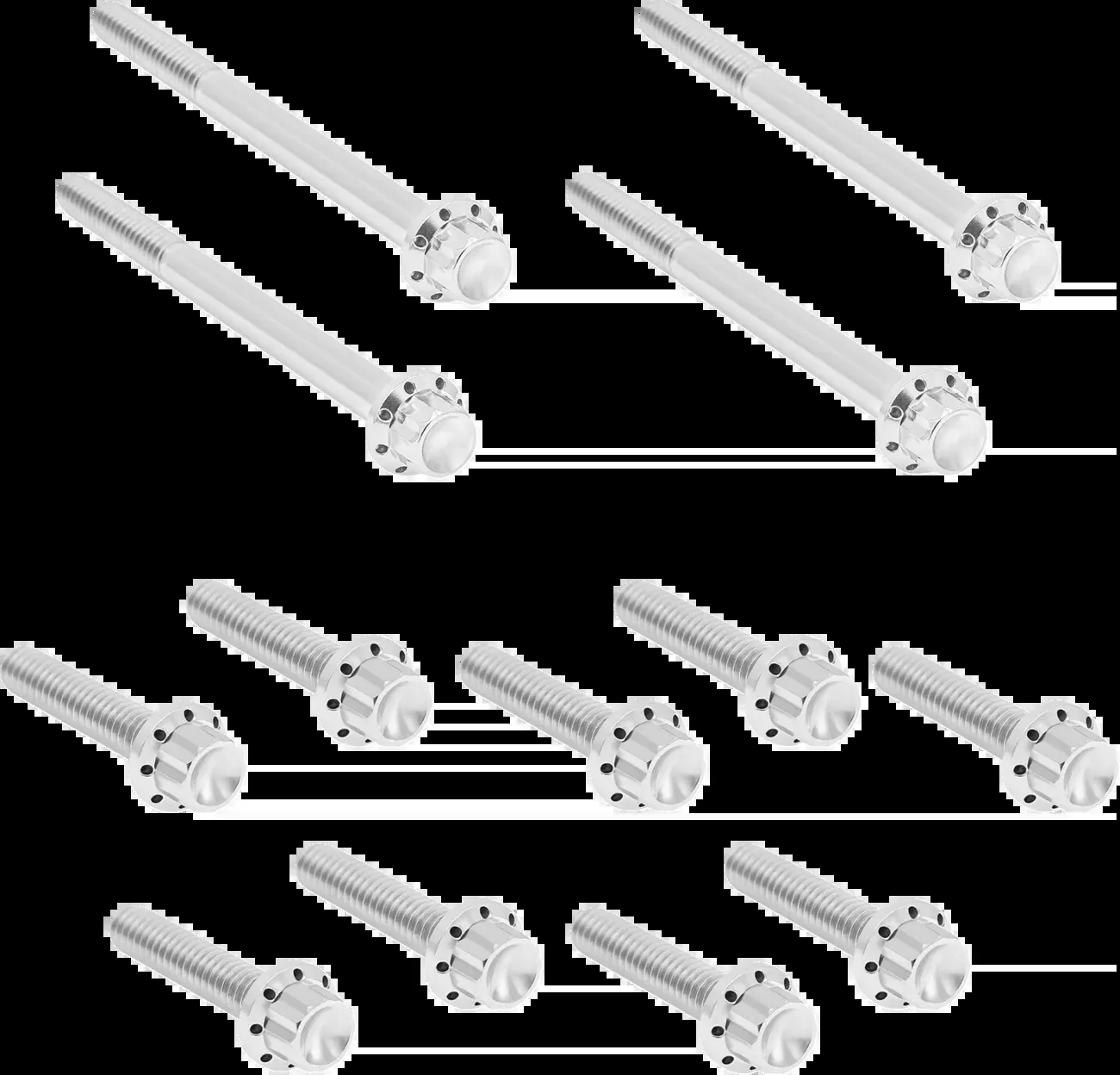ARLEN NESS Bolt Kit - Primary Cover - Titanium - 12-Point - Softail - Polished - 300-929