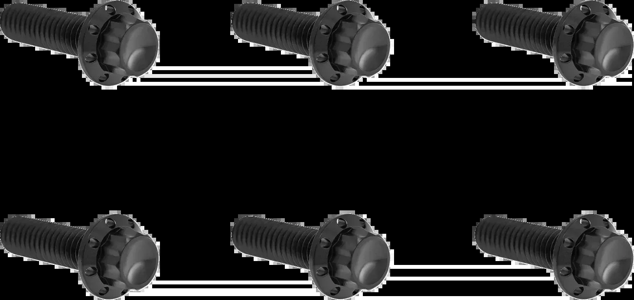 ARLEN NESS Bolt Kit - Transmission Top Cover - 12-Point - Titanium - Black - 300-948