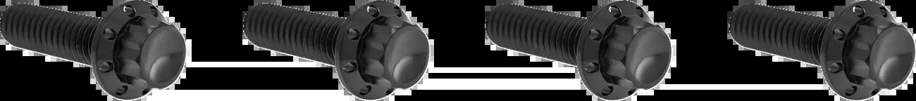 ARLEN NESS Bolt Kit - Transmission Top Cover - 12-Point - Titanium - Black - 300-978