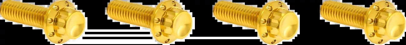 ARLEN NESS Bolt Kit - Transmission Top Cover - 12-Point - Titanium - Gold - 300-979