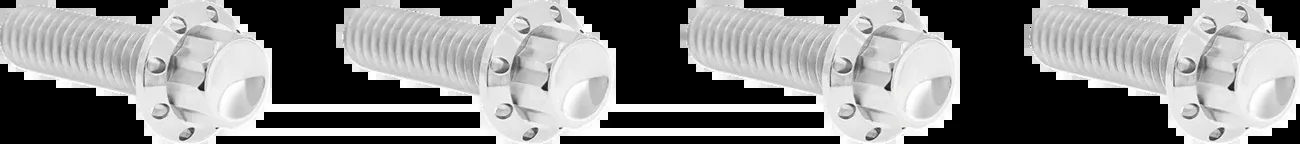 ARLEN NESS Bolt Kit - Transmission Top Cover - 12-Point - Titanium - Polished - 300-977