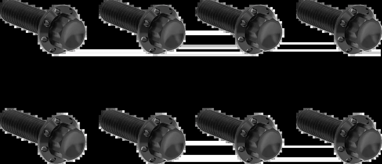 ARLEN NESS Bolt Kit - Trap Door - Titanium - 12-Point - M8 - Black - 300-710