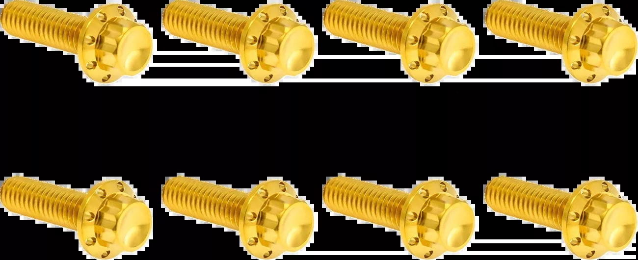 ARLEN NESS Bolt Kit - Trap Door - Titanium - 12-Point - M8 - Gold - 300-711