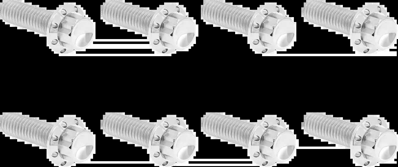ARLEN NESS Bolt Kit - Trap Door - Titanium - 12-Point - M8 - Polished - 300-709