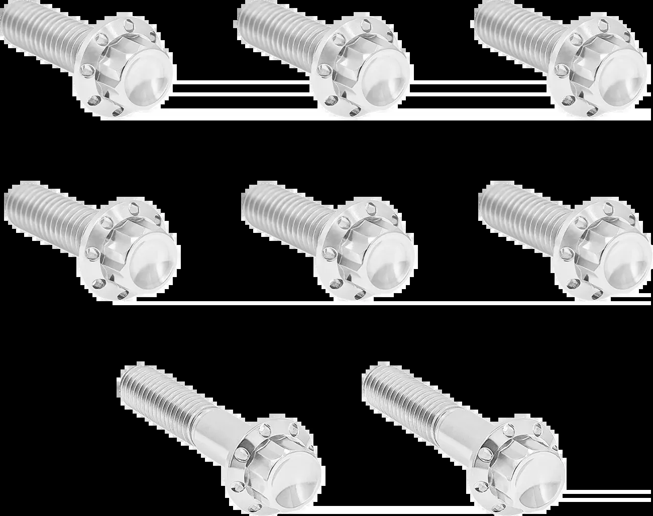 ARLEN NESS Bolt Kit - Trap Door - Titanium - 12-Point - Twin Cam/6-Speed - Polished - 300-712