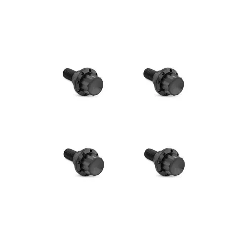 Arlen Ness Titanium 12-Point Windshield Bolts for 2015-2025 Harley Road Glide - Black