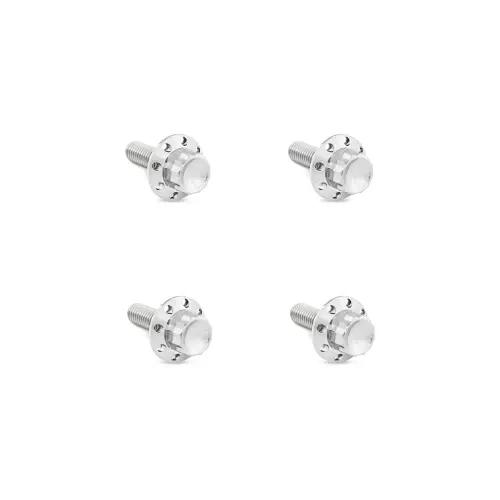 Arlen Ness Titanium 12-Point Windshield Bolts for 2024-2026 Harley Street Glide - Polished