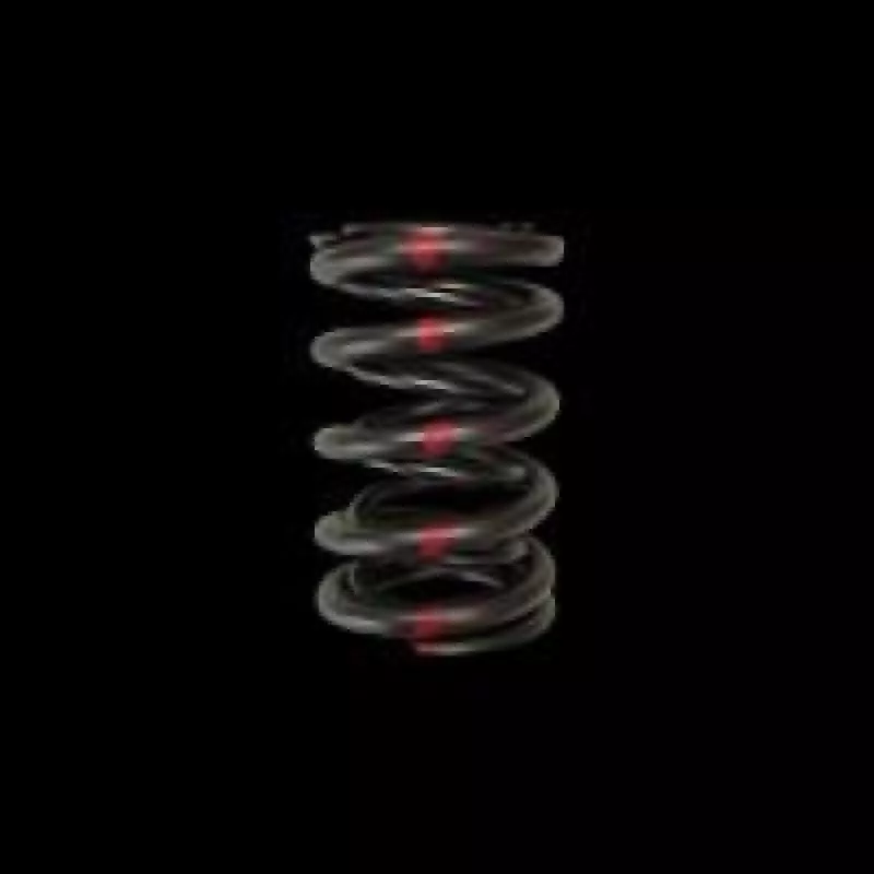 BC Valve Spring – Single