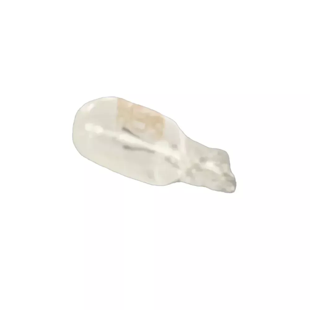BULB, LICENSE LIGHT(12V-5W) (BUDDY)