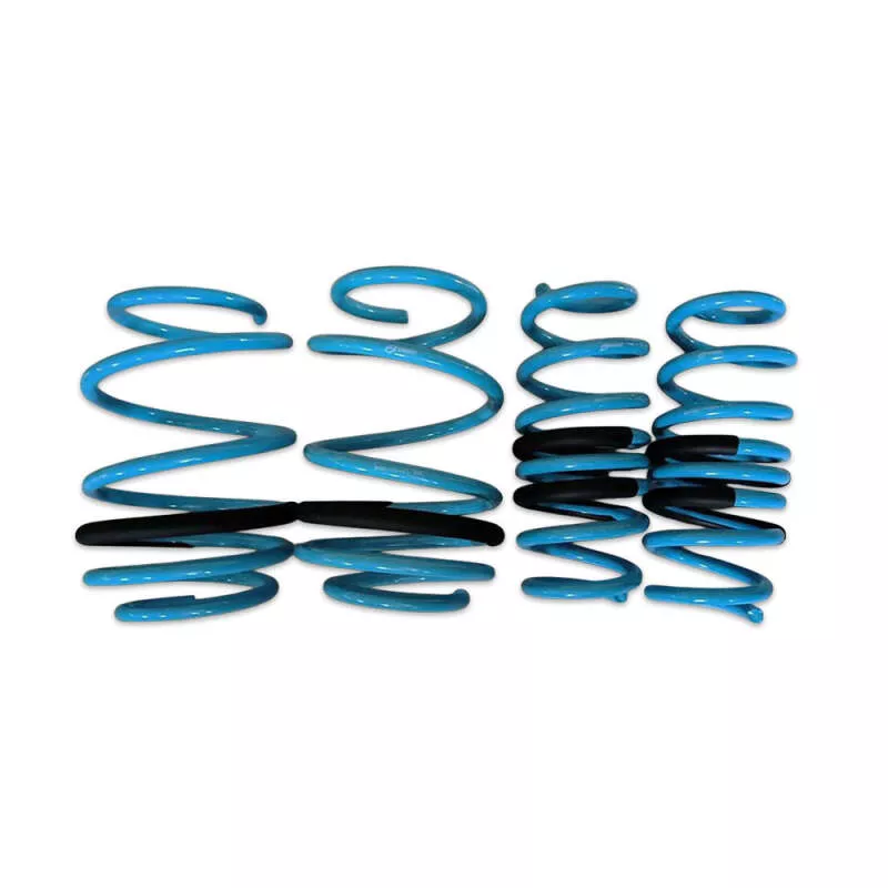 BX Lowering Springs