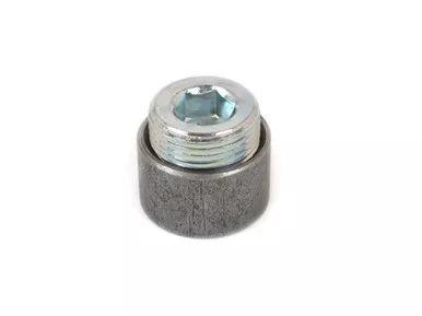 Canton Inspection Plug 20-888