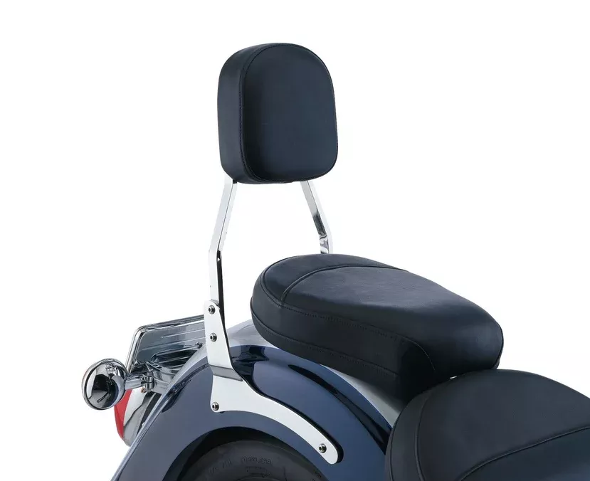 Cobra USASissy Bar with Freedom Pad