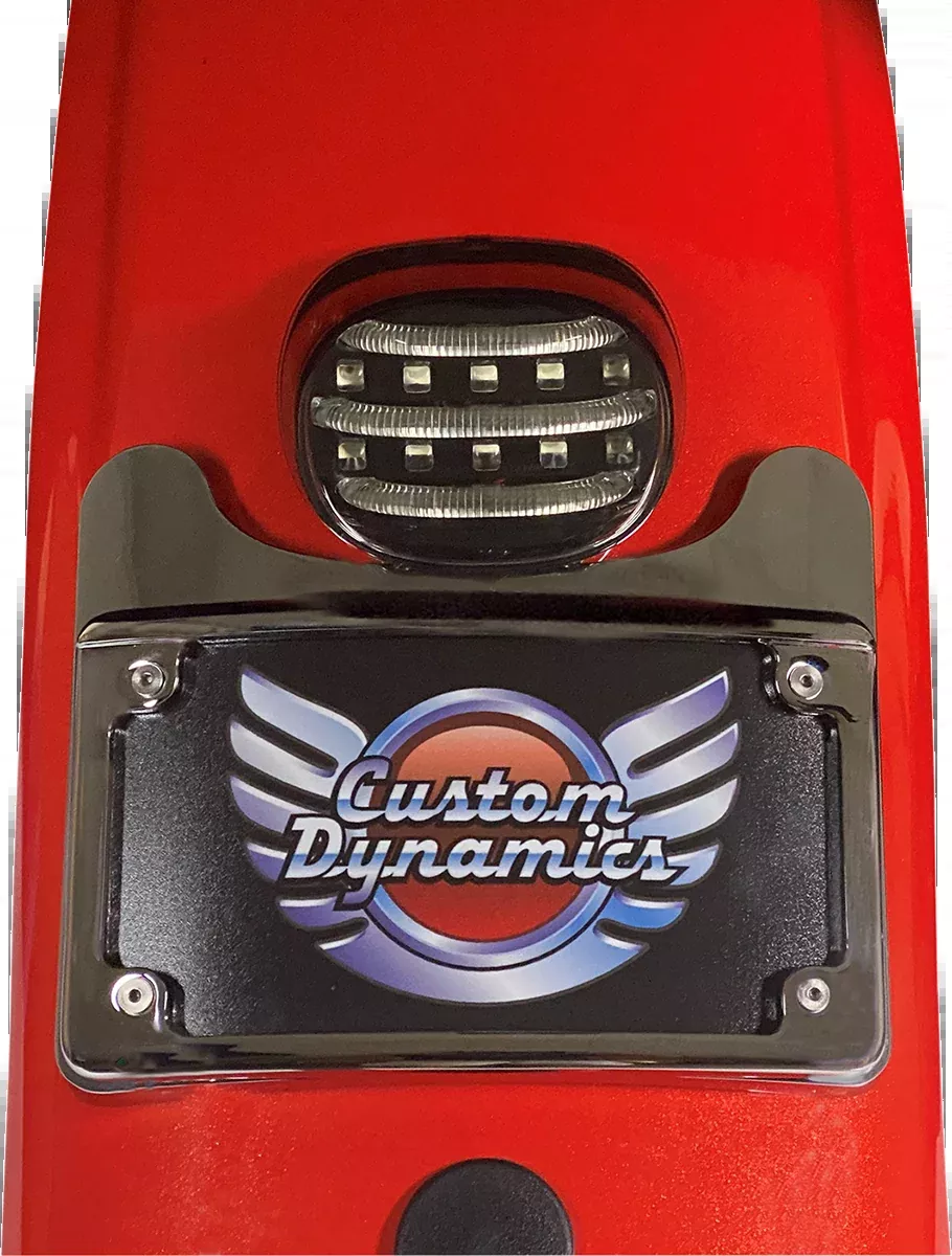 Custom Dynamics ProBeam Mini LED Taillight for 10-13 Harley Touring FLHX FLTRX