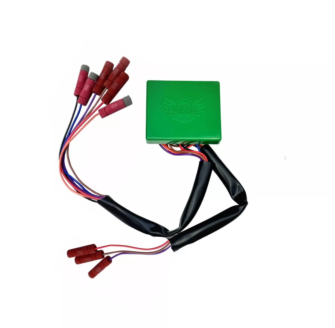 Custom Dynamics Universal Smart Triple Play Module