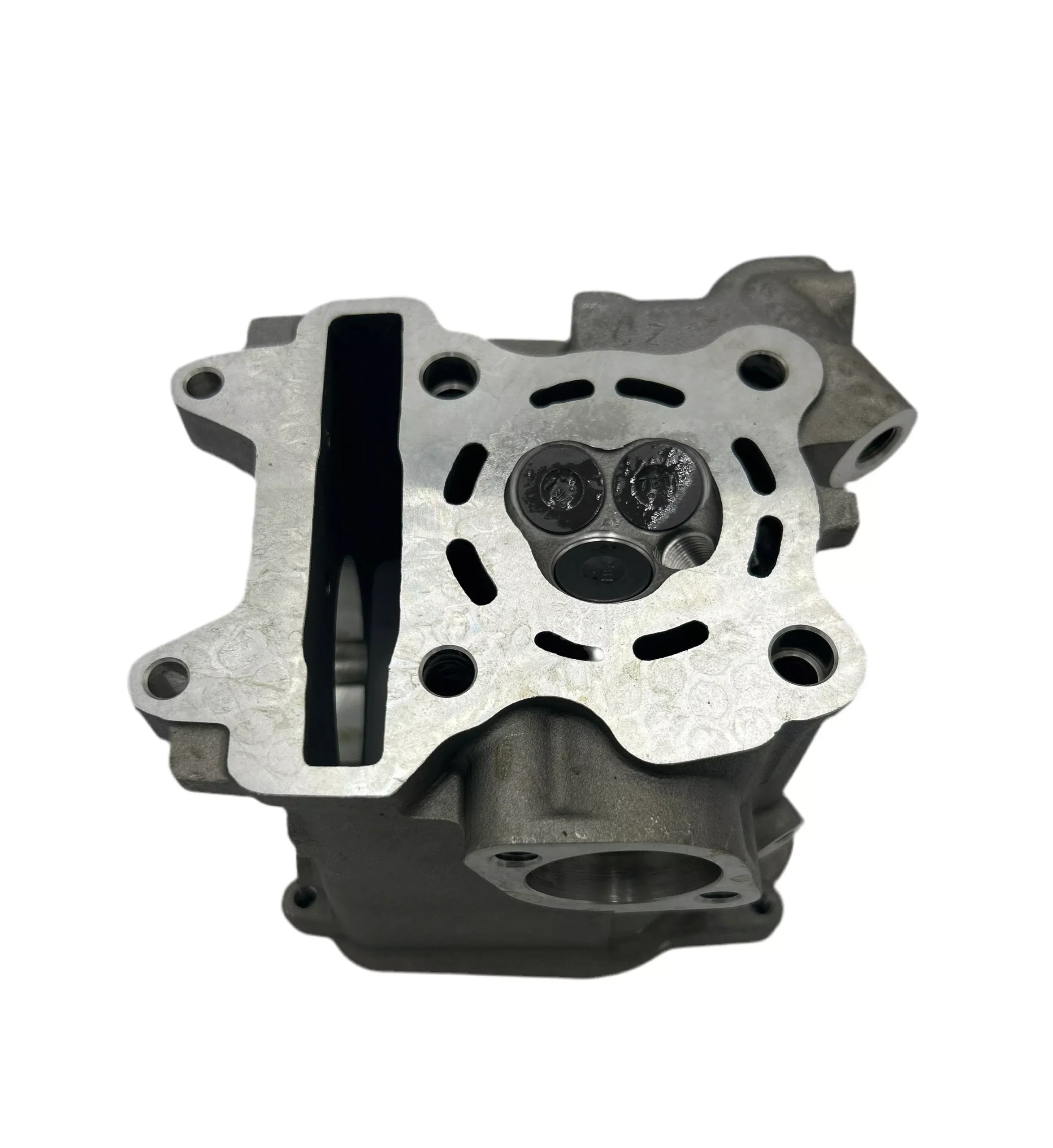 CYLINDER HEAD & VALVE ASSY (VEN)