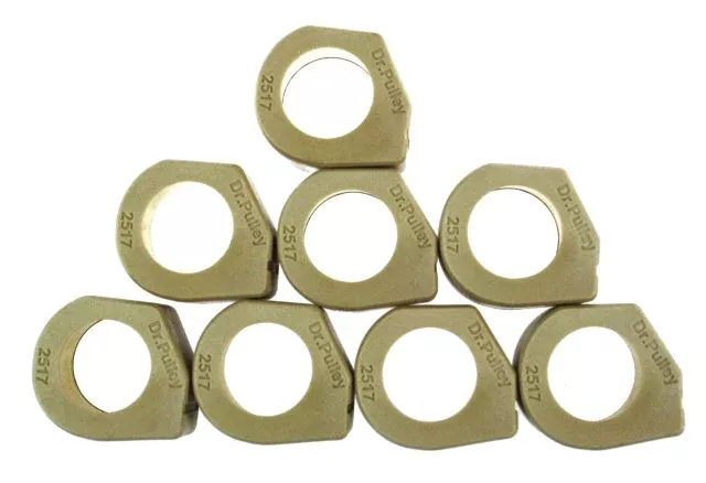 Dr. Pulley 25x17 Sliding Roller Weights
