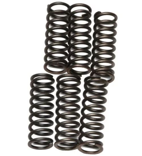 EBC CSK Clutch Spring Set (CSK37)