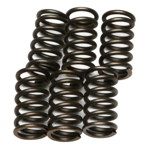 EBC CSK Clutch Spring Set (CSK38)