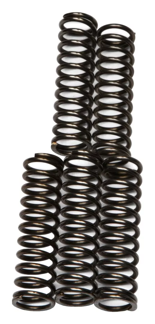 EBC CSK67 Clutch Spring Kit