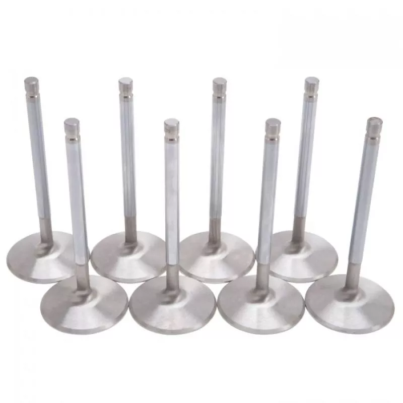 EDE Intake Valves