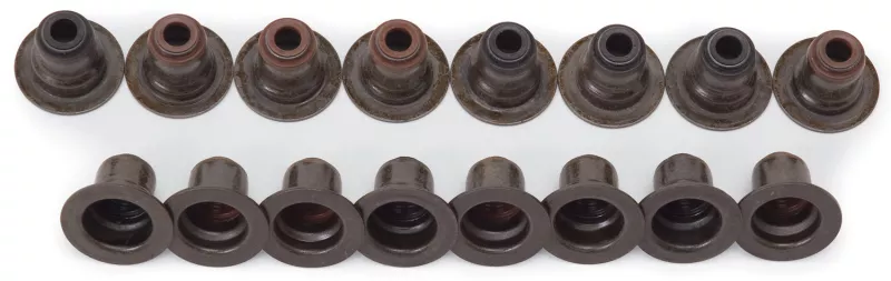 EDE Valve Springs