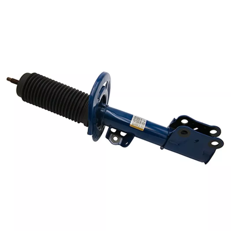 FR Shocks